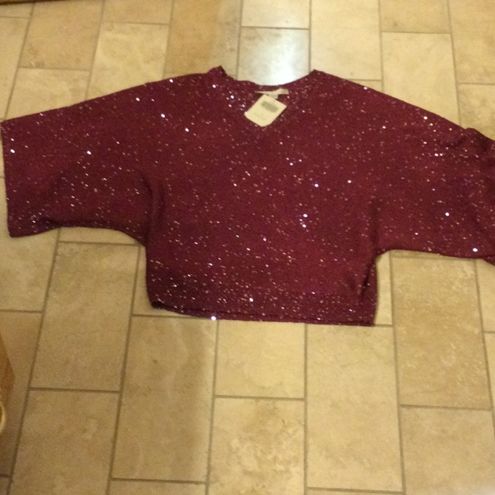 Boston Proper Sequin Top